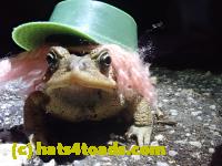 /home//u458753944/public_html/sourcegallery//Roxborough Toad Detour/2021/2021-04-10/P4100229.JPG